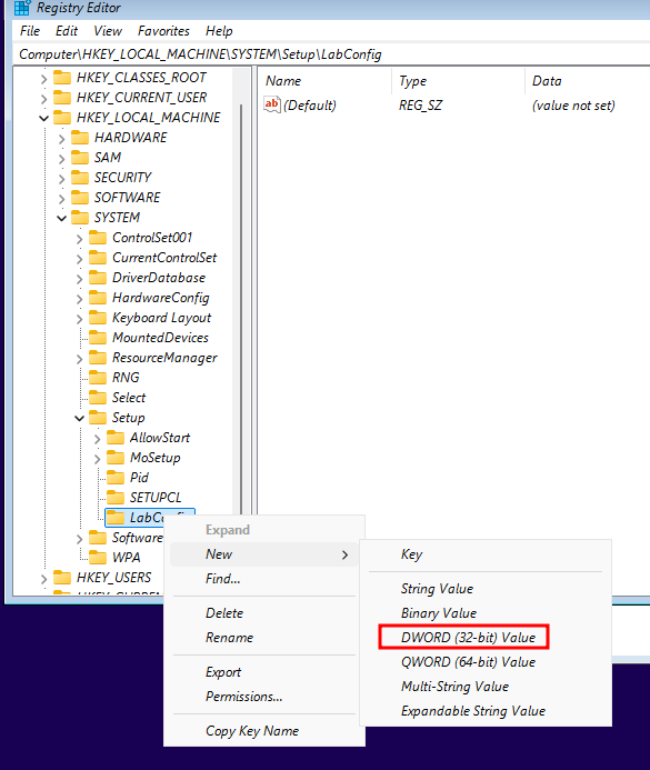 Creating labconfig registry key