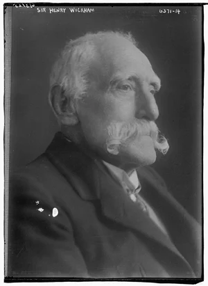 Henry Wickham, the englishman who smuggled rubber tree seeds from Brazil