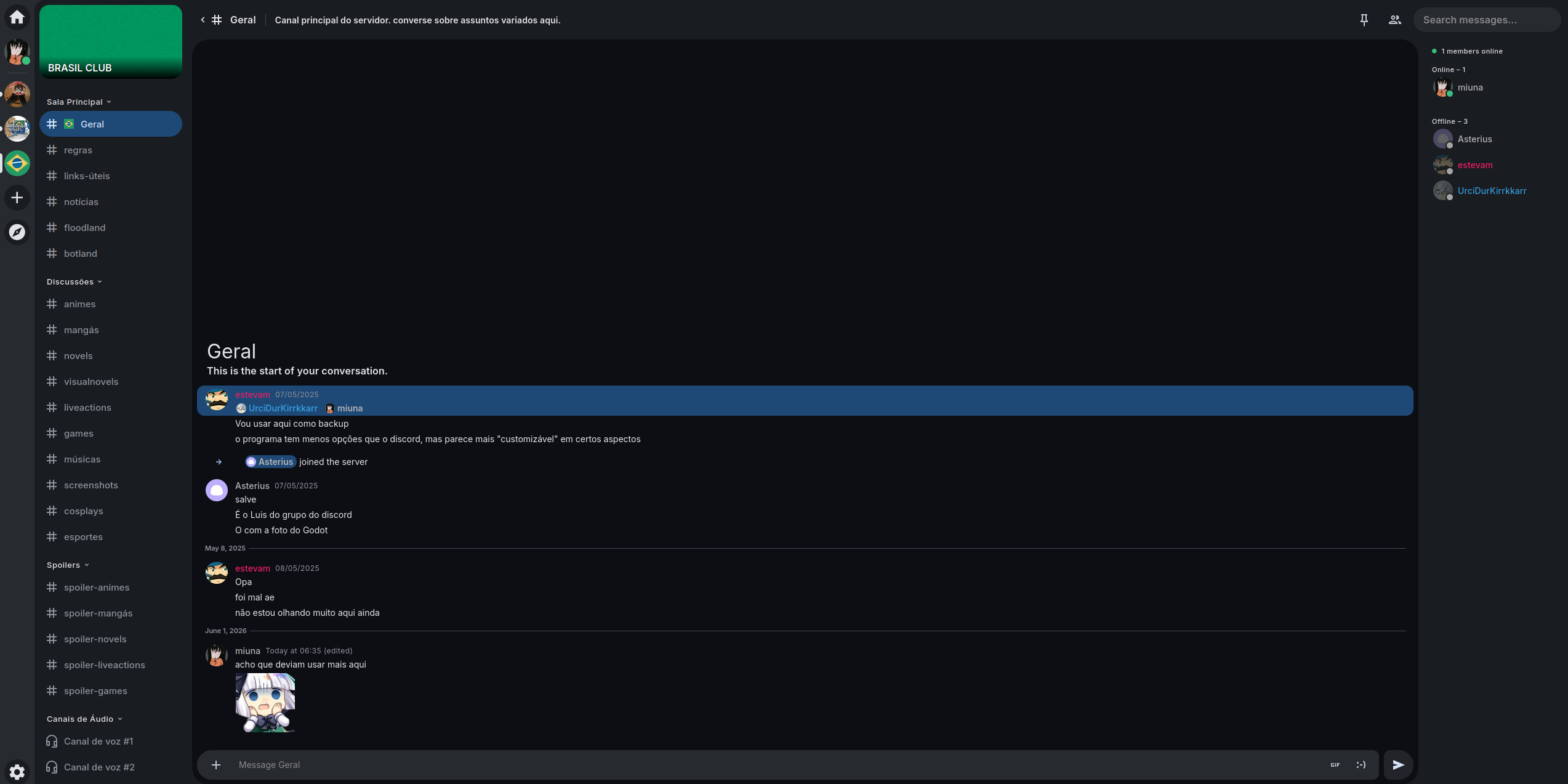 Interface do stoat.chat